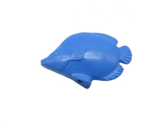 Fisch Schmetterlingsfisch Fisch Schmetterlingsfisch