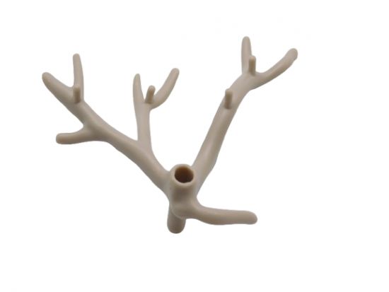 Ast Geäst Baum Ast Geäst Baum