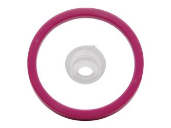 Rad hinten Elfenkutsche