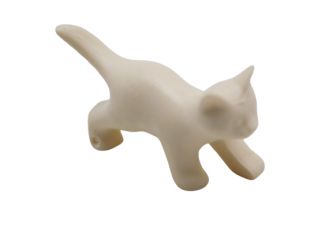 Katzenjunges stehend Katzenjunges stehend