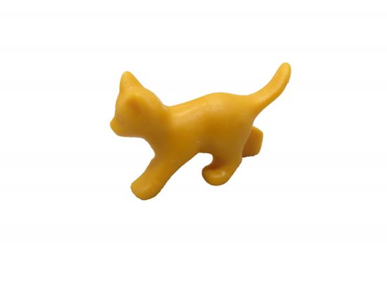 Katzenkind stehend Katzenkind stehend