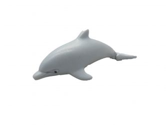 Delphin Baby
