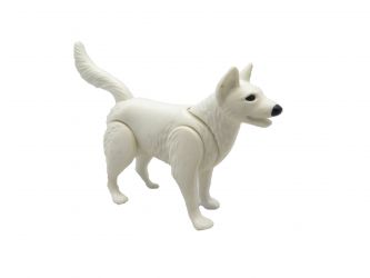 Schäferhund weiß Schäferhund weiß