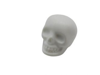 Kopf Skelett