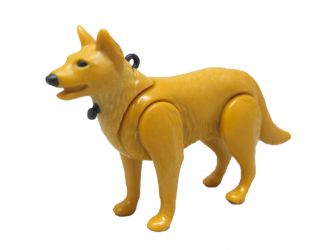 Hund Schäferhund